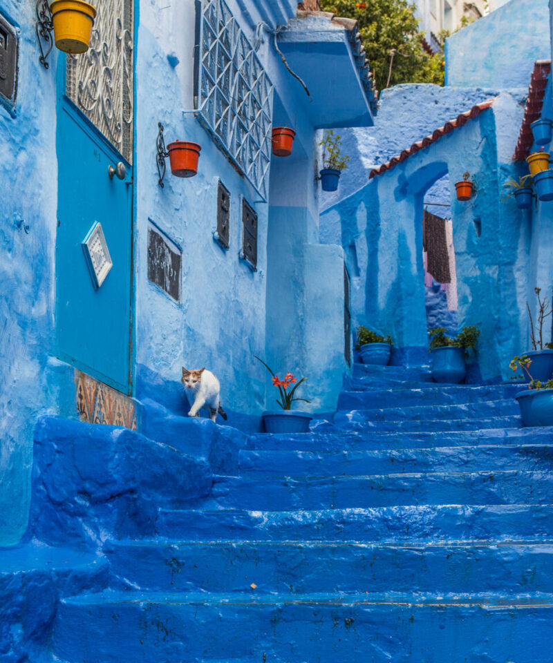 Fes to Chefchaouen Day Trip