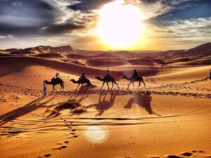 Sunset Camel Ride in Merzouga
