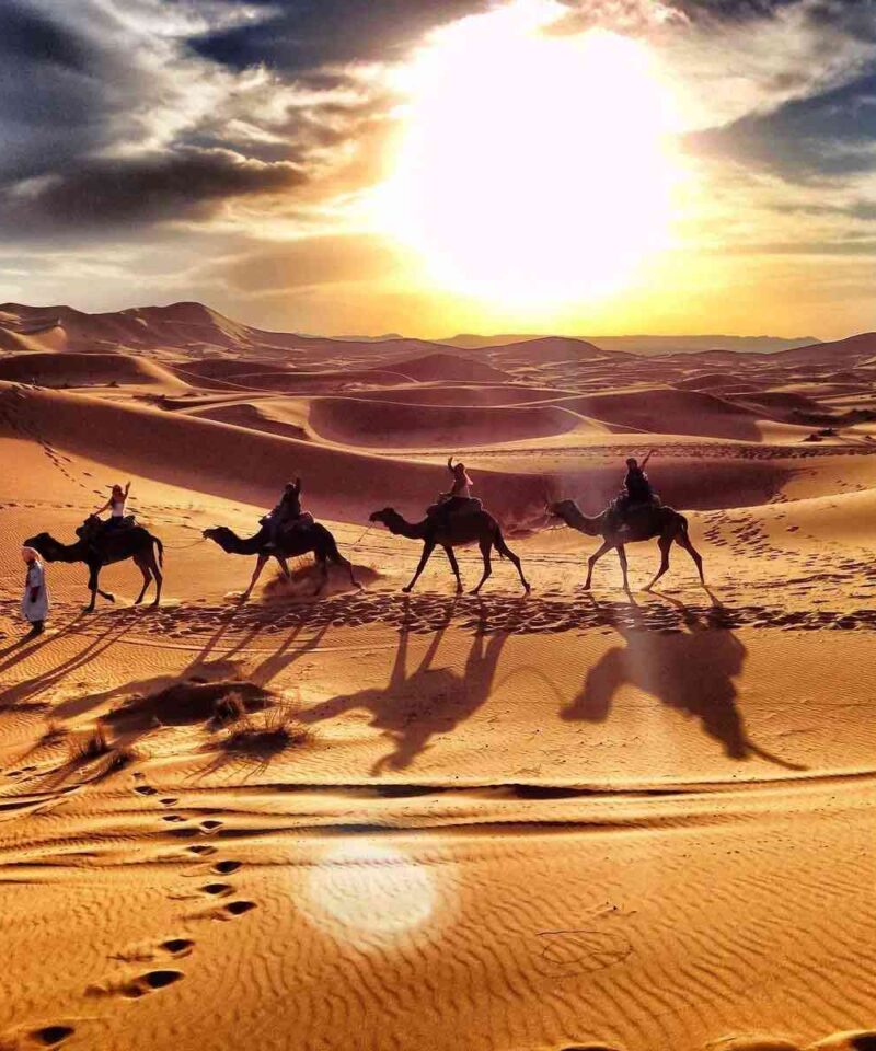 Sunset Camel Ride in Merzouga