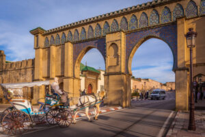 Day Trip from Fes to Volubilis and Meknes