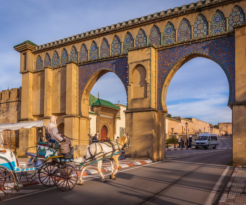 Day Trip from Fes to Volubilis and Meknes