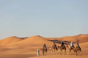 Day and Night Camel Trek in Merzouga
