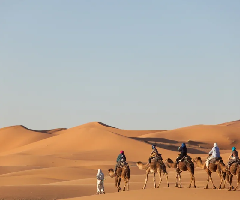 Day and Night Camel Trek in Merzouga