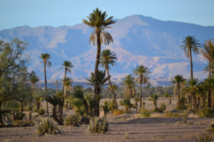 7 Days Morocco Tour from Marrakech