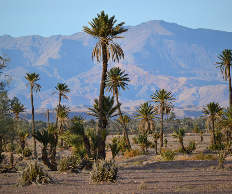 7 Days Morocco Tour from Marrakech